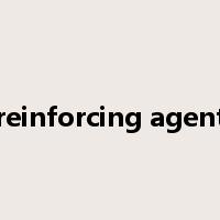 reinforcing agent是什么意思