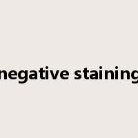 negative staining是什么意思