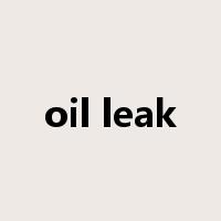 oil leak是什么意思