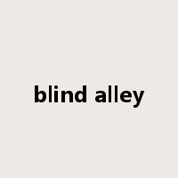 blind alley是什么意思