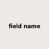 field name是什么意思