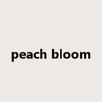 peach bloom是什么意思