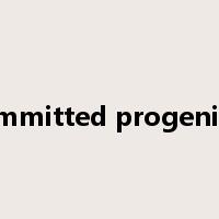 committed progenitor是什么意思