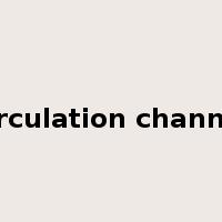 circulation channel是什么意思