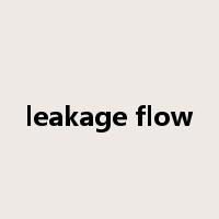 leakage flow是什么意思