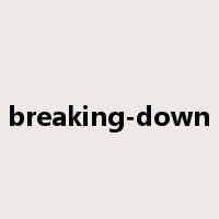 breaking-down是什么意思