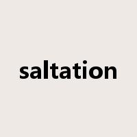 saltation是什么意思