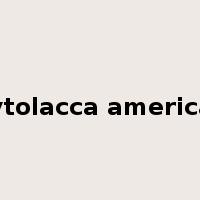Phytolacca americana是什么意思