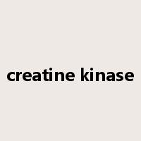 creatine kinase是什么意思