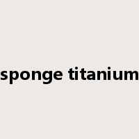 sponge titanium是什么意思