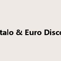 Italo & Euro Disco是什么意思