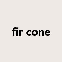 fir cone是什么意思