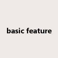 basic feature是什么意思