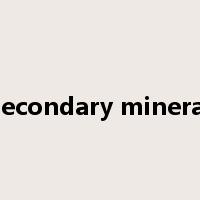 secondary mineral是什么意思