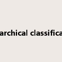 Hierarchical classification是什么意思