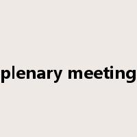plenary meeting是什么意思