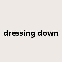 dressing down是什么意思