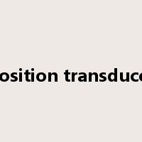 position transducer是什么意思