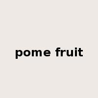 pome fruit是什么意思