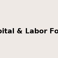 Capital & Labor Force是什么意思