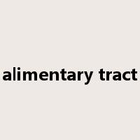 alimentary tract是什么意思