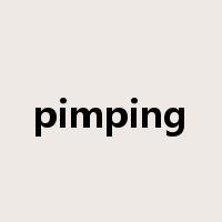 pimping是什么意思