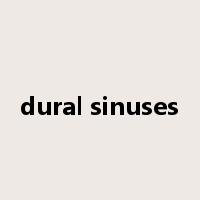 dural sinuses是什么意思