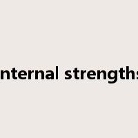 internal strengths是什么意思