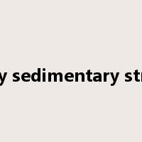 primary sedimentary structure是什么意思