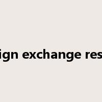 foreign exchange reserve是什么意思
