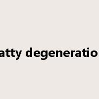 fatty degeneration是什么意思