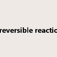 irreversible reaction是什么意思