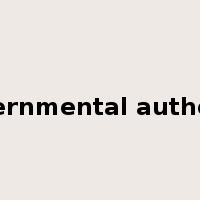 governmental authority是什么意思