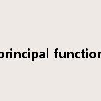 principal function是什么意思