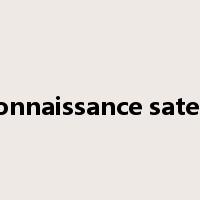 reconnaissance satellite是什么意思