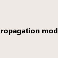 propagation mode是什么意思