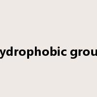 hydrophobic group是什么意思
