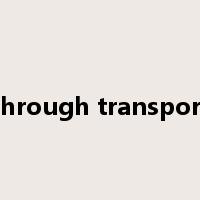 through transport是什么意思