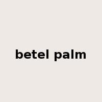betel palm是什么意思