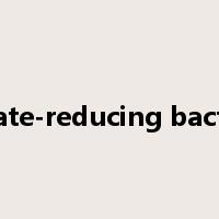 sulfate-reducing bacteria是什么意思