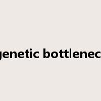 genetic bottleneck是什么意思