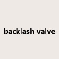 backlash valve是什么意思