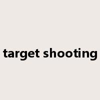 target shooting是什么意思