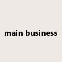 main business是什么意思