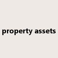 property assets是什么意思