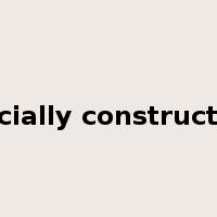 socially constructed是什么意思