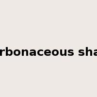 carbonaceous shale是什么意思