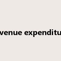 revenue expenditure是什么意思