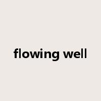 flowing well是什么意思