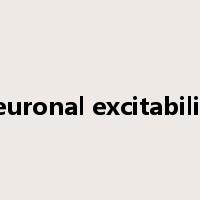 neuronal excitability是什么意思